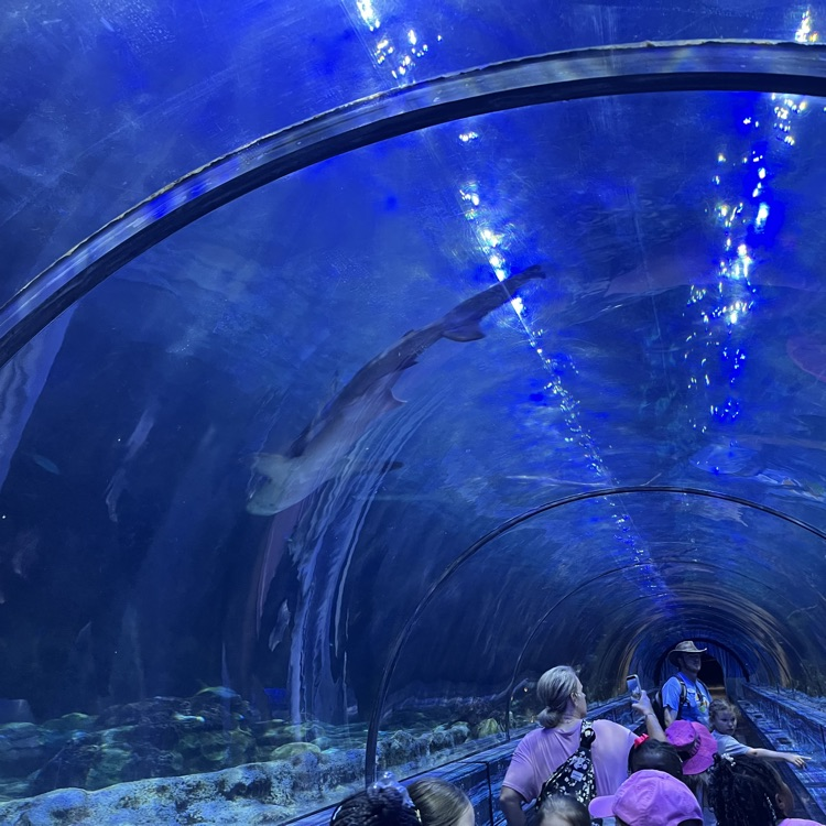 SeaWorld