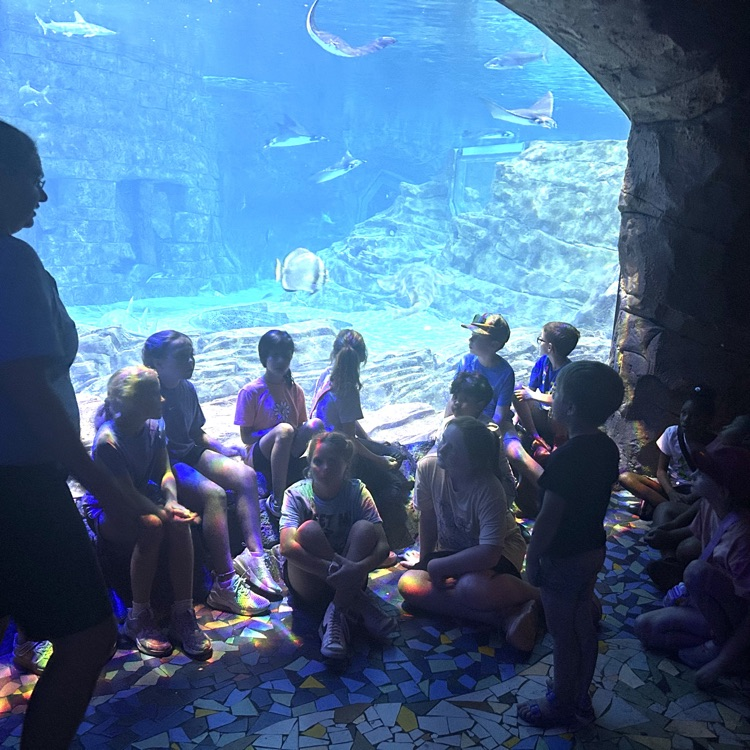 SeaWorld
