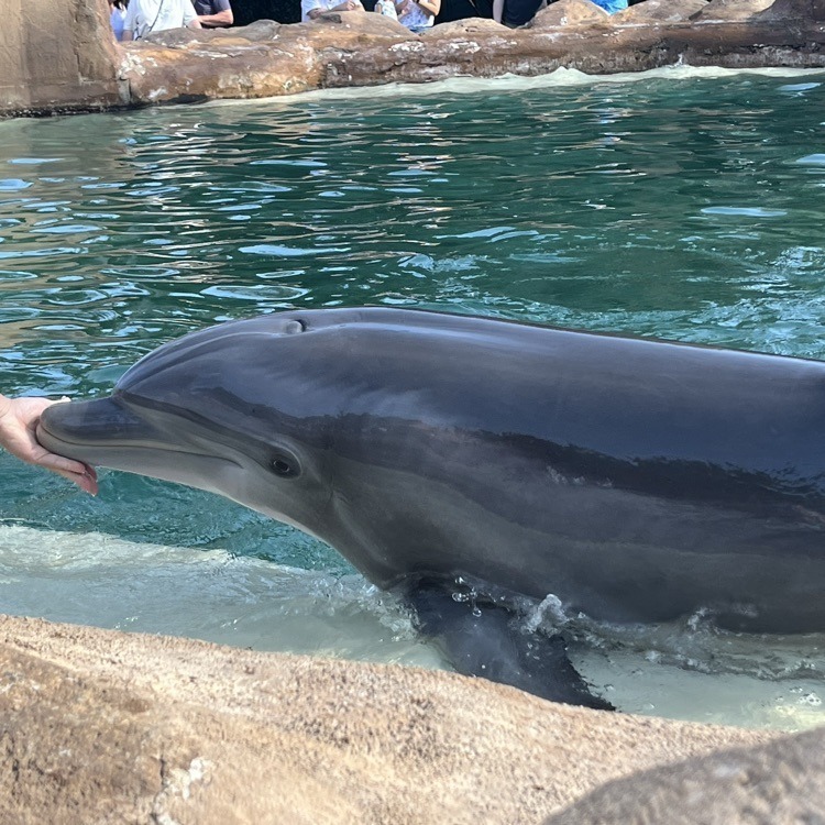 JES 3rd Grade Sea World Adventures 2