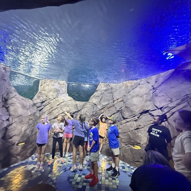 JES 3rd Grade Sea World Adventures 3