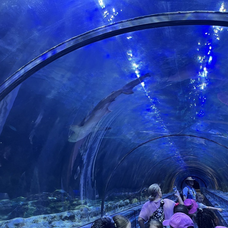 JES 3rd Grade Sea World Adventures 1