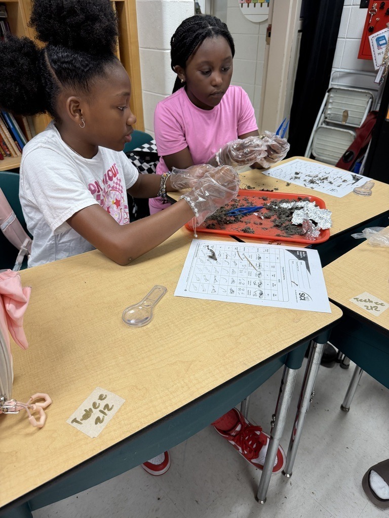 JES 4th grade Owl Pellets 4