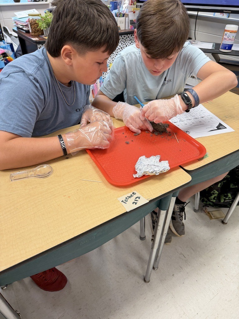 JES 4th grade Owl Pellets 8