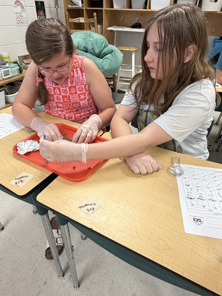 JES 4th grade Owl Pellets 7