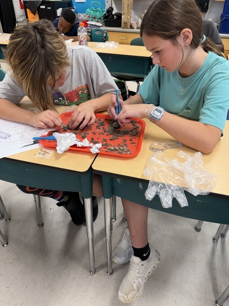 JES 4th grade Owl Pellets 5