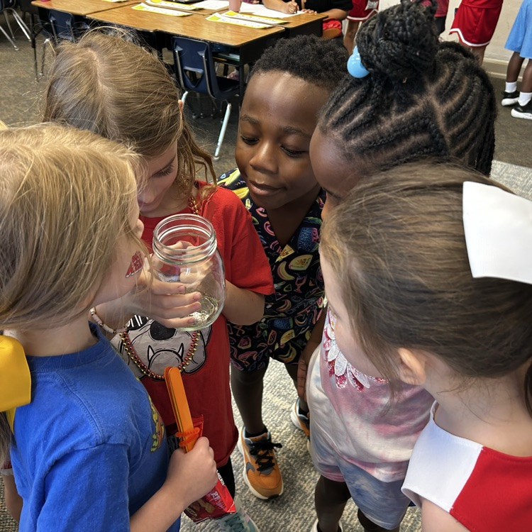Life Cycle of a Frog 1st Grade 