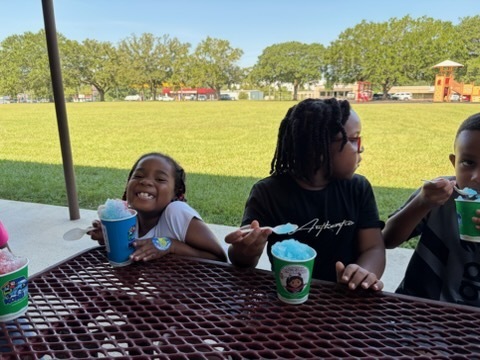 Kona Ice
