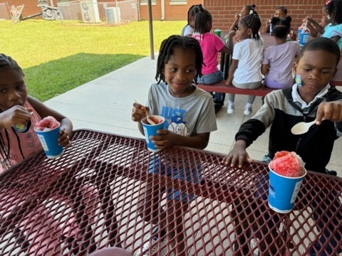 Kona Ice