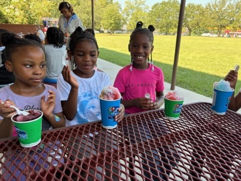 Kona Ice