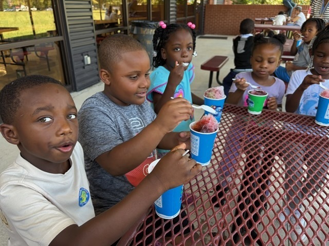 Kona Ice