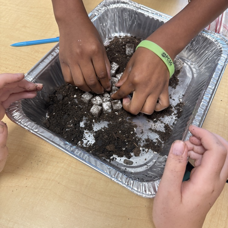5th Grade Science 