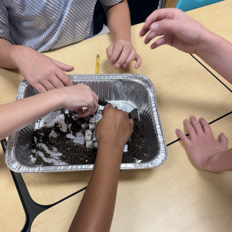 5th Grade Science 