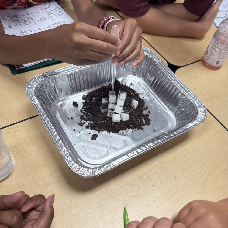 5th Grade Science 