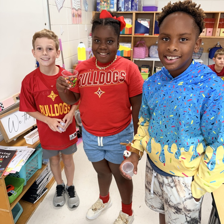 Ms. Kornegay Skittles Tax Activity 