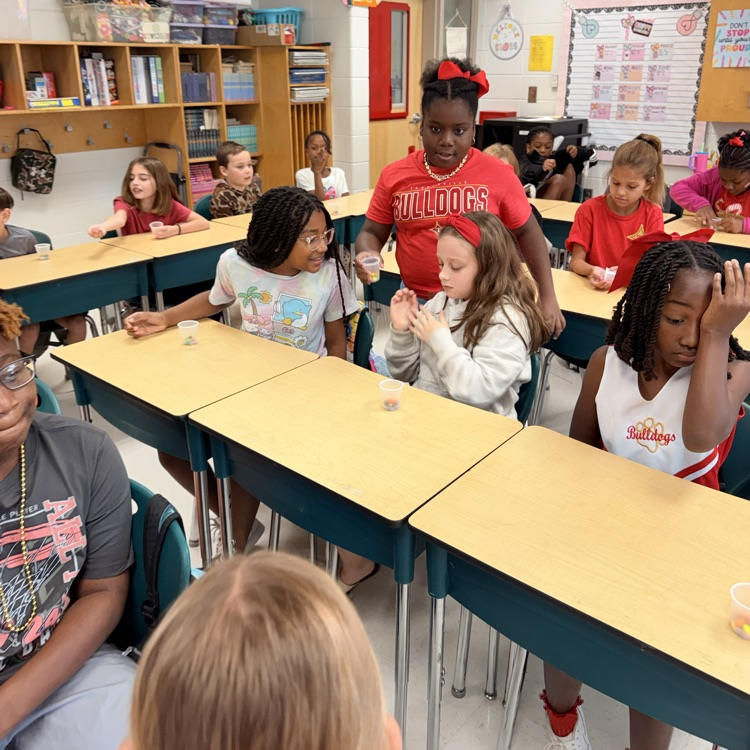 Ms. Kornegay Skittles Tax Activity 