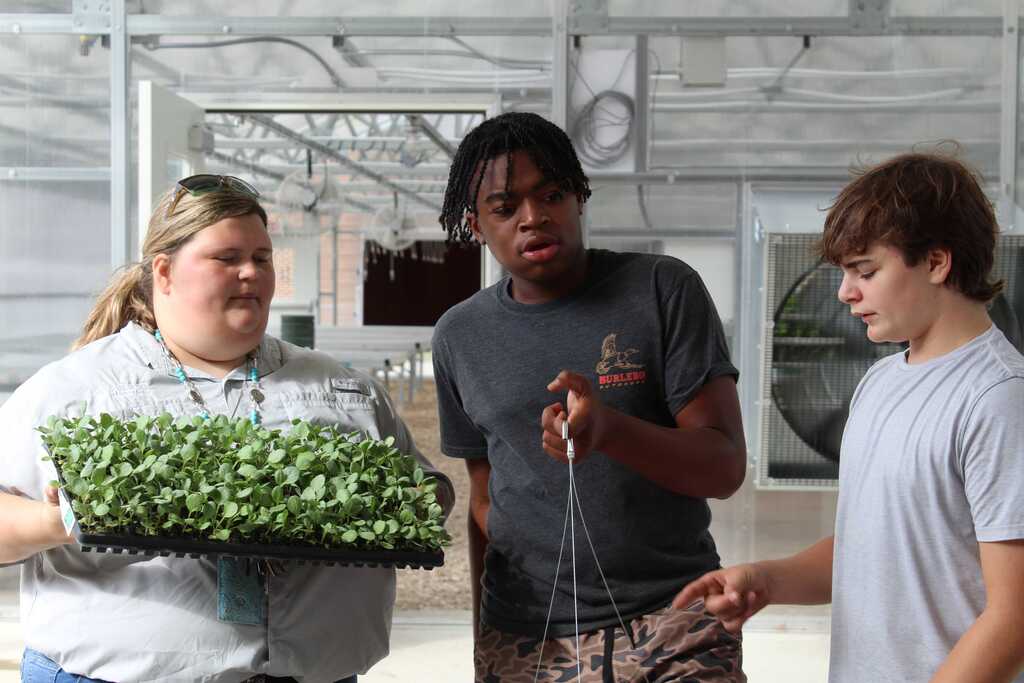 THS/SA/MPMS Sweep Ag Exploration Replants 8