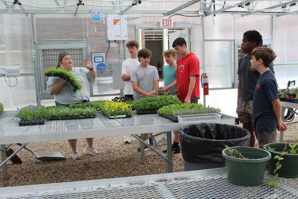 THS/SA/MPMS Sweep Ag Exploration Replants 2