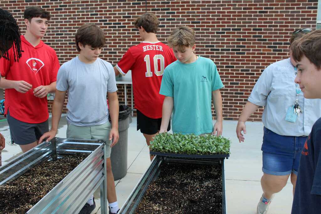 THS/SA/MPMS Sweep Ag Exploration Replants 9