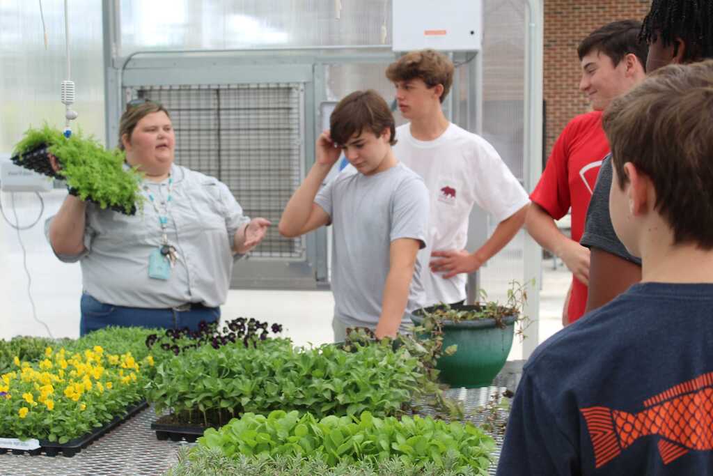THS/SA/MPMS Sweep Ag Exploration Replants 4