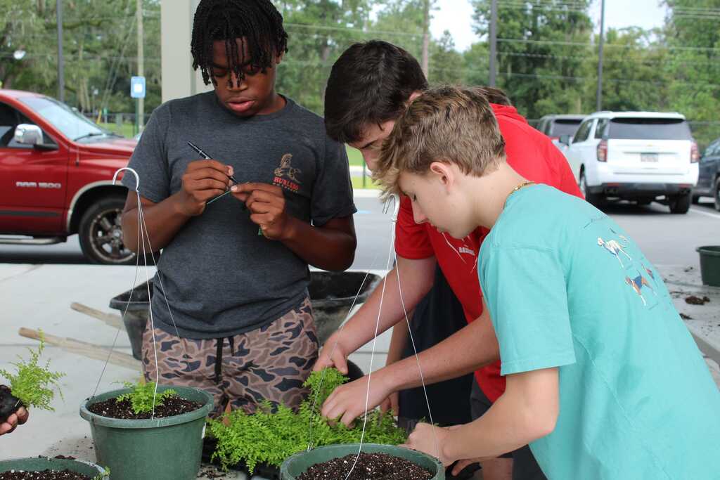 THS/SA/MPMS Sweep Ag Exploration Replants 3