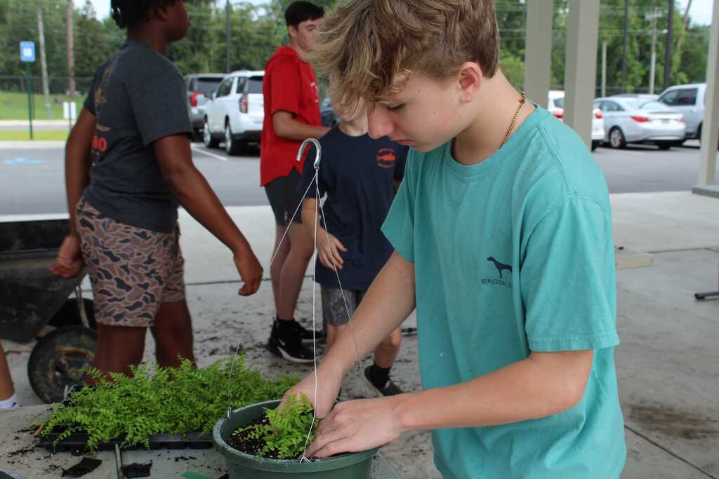 THS/SA/MPMS Sweep Ag Exploration Replants 7