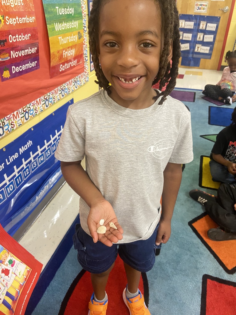 Show and Tell