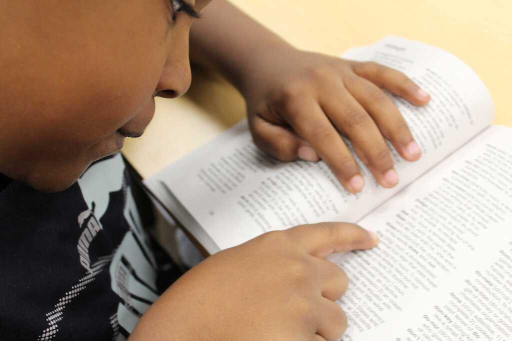 TCS 3rd grade Elementary Dictionary Project 5