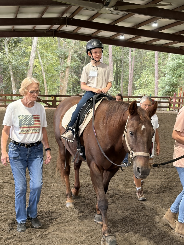 Hands and Hearts for Horses