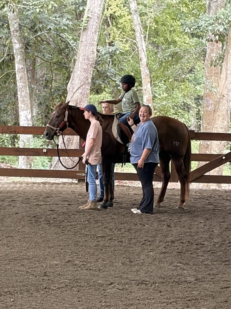 Hands and Hearts for Horses