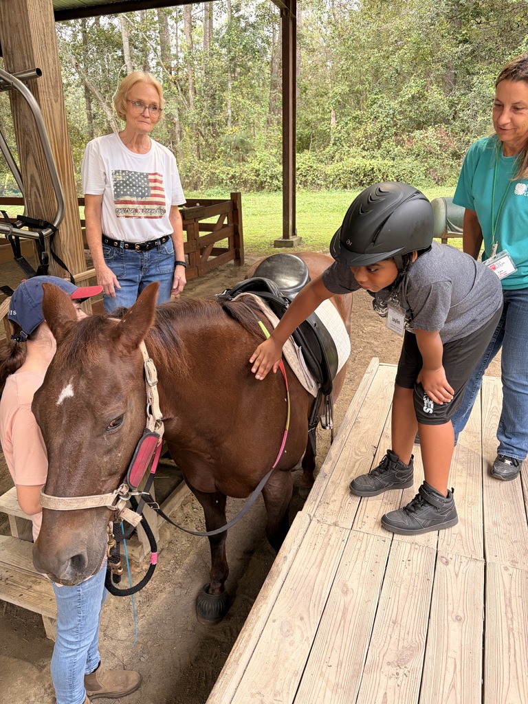 Hands and Hearts for Horses