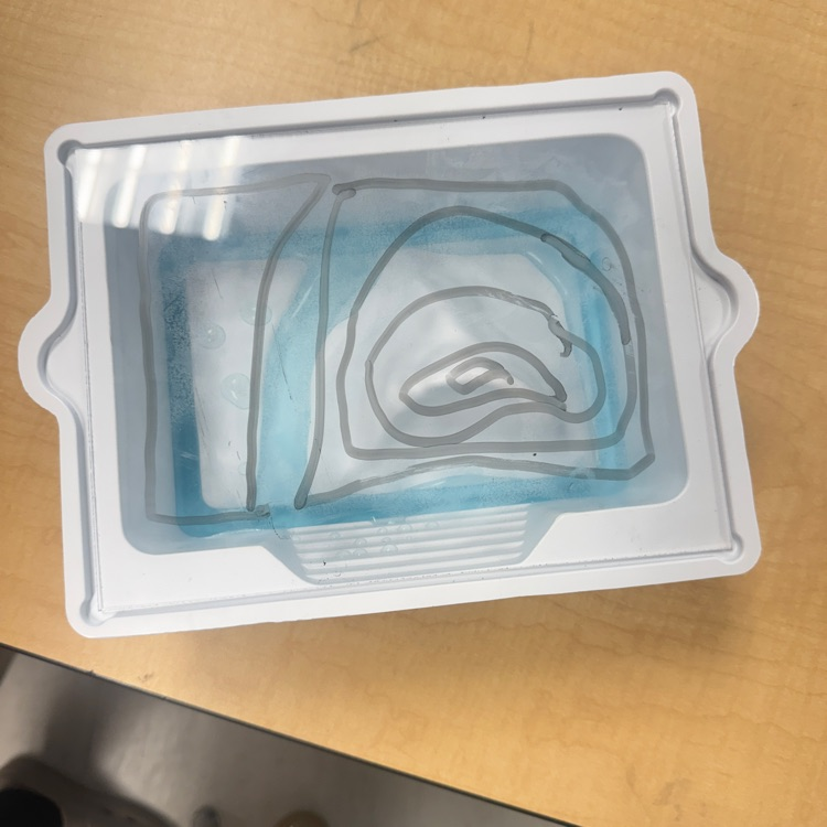 Mrs. Keaton's Science Class 