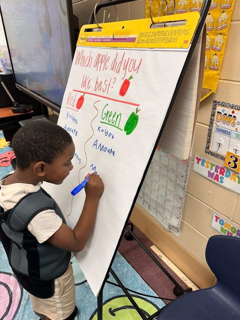 Child in classroom, writing on a whiteboard with the question "Which apple do you like best?"