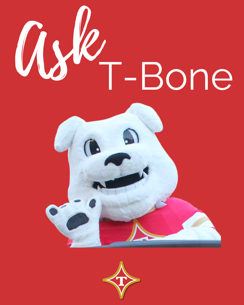 Mascot with white fur, a red cape, and a small teddy bear on its lap. Text reads "Ask T-Bone."