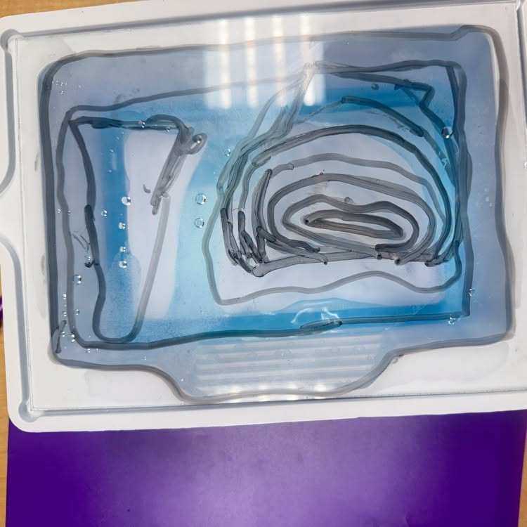 Transparent plastic tray with blue liquid and black spiral maze on a purple surface.