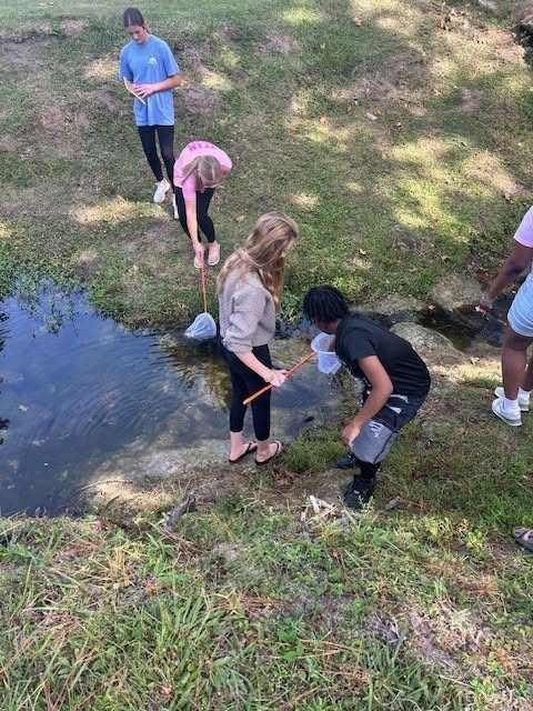 Five people in casual clothing catch fish in a pond using a net. Some of them are kneeling.
