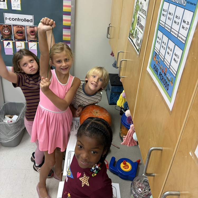 Fall Pumpkin Math Centers 2nd Grade