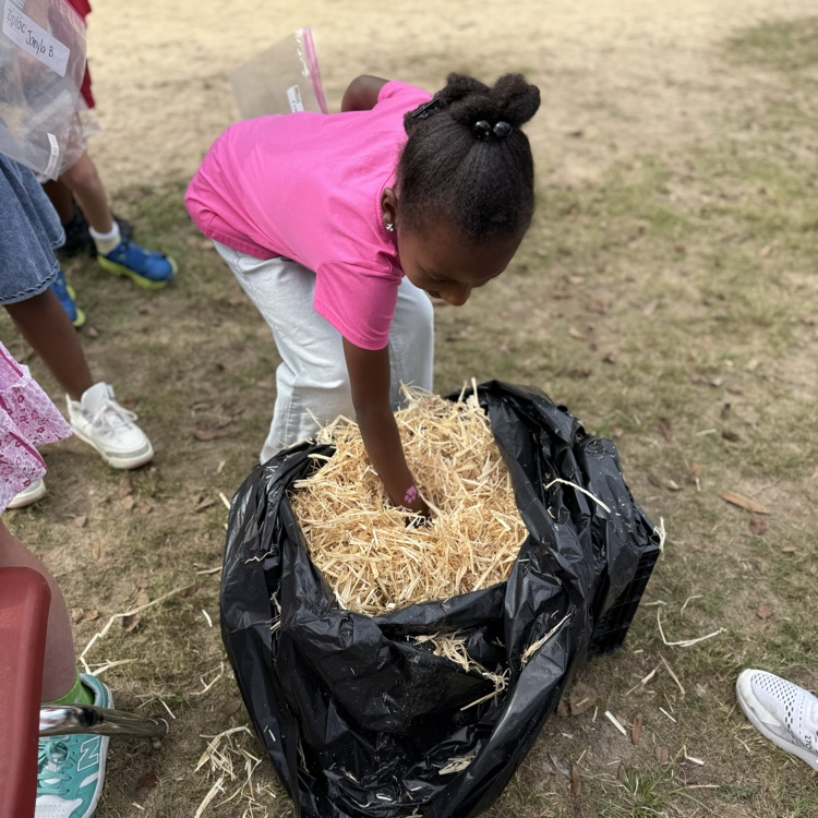 3rd Grade Fall Festival 