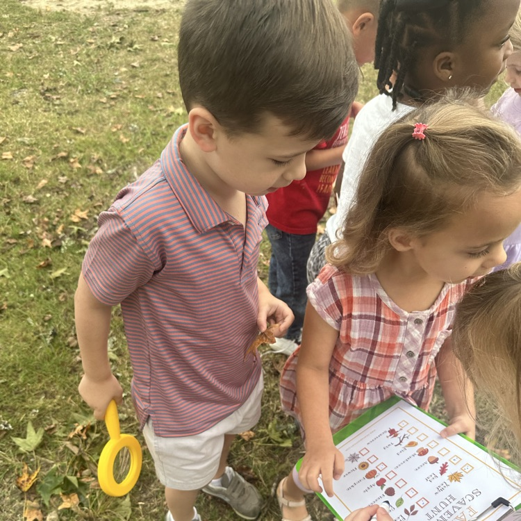 Mrs. Marshall's Class for Fall Activities 