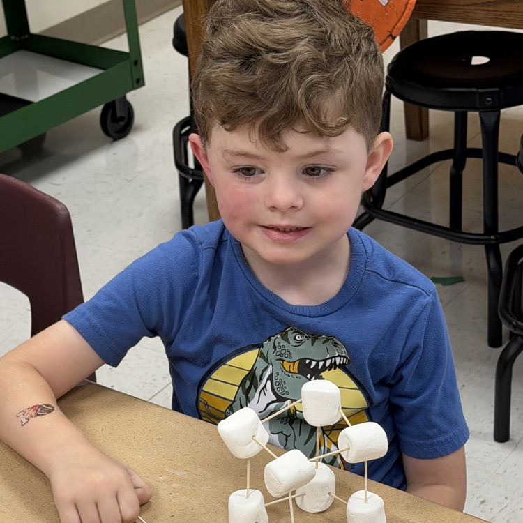 3D shapes with Ms. Weed's class.