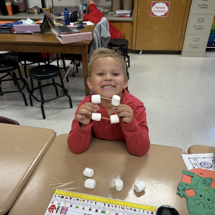 3D shapes with Ms. Weed's class.