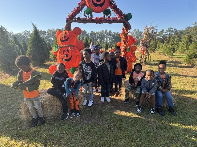 K Pumpkin Patch