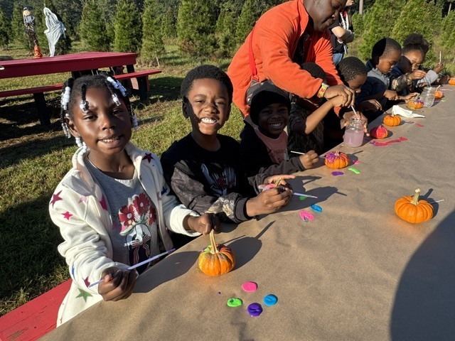 K Pumpkin Patch