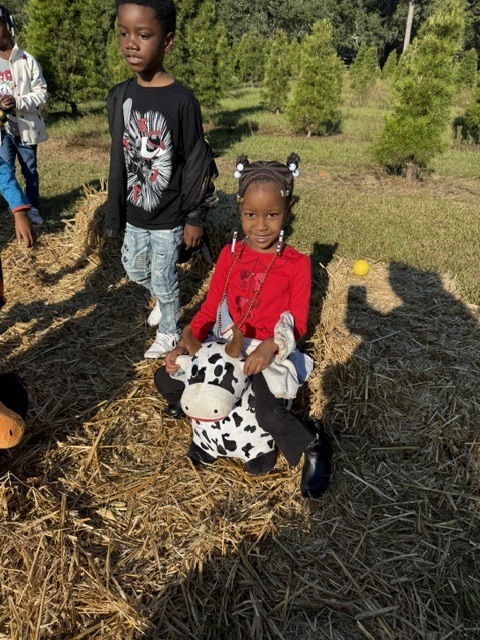 K Pumpkin Patch