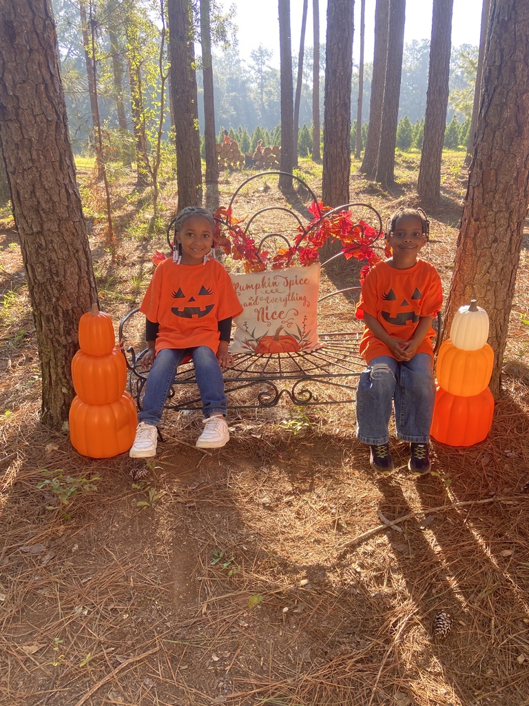 K Pumpkin Patch