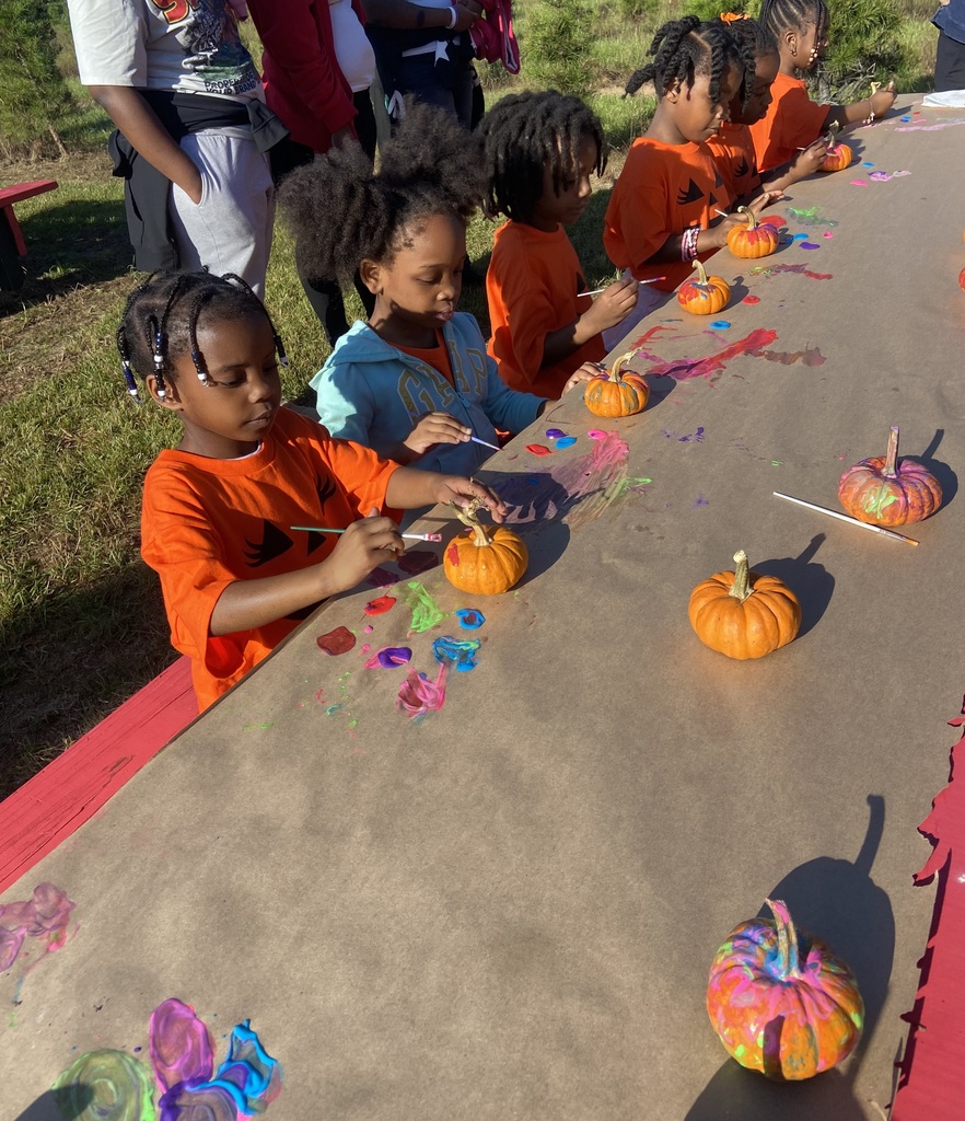 K Pumpkin Patch