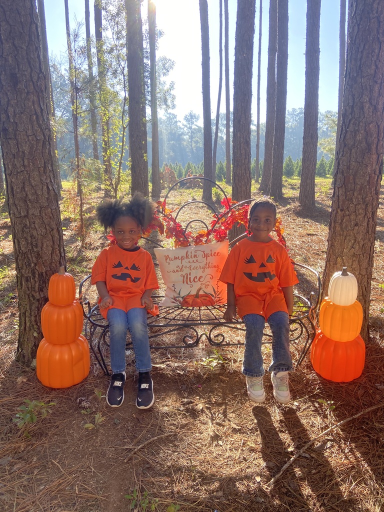 K Pumpkin Patch