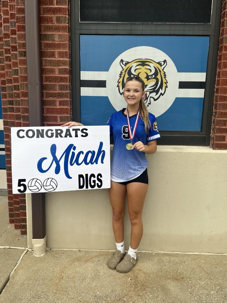 Micah Sander 500 Digs
