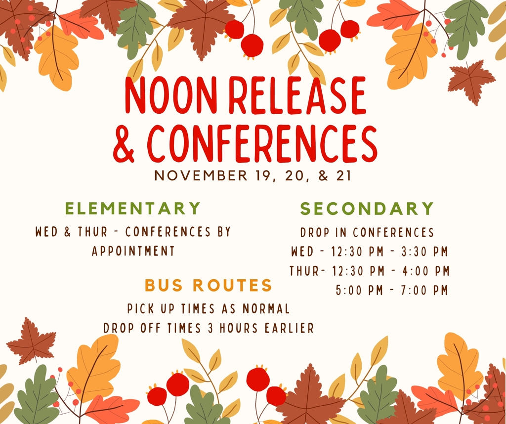 Noon release and Conferences