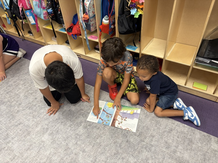 readers