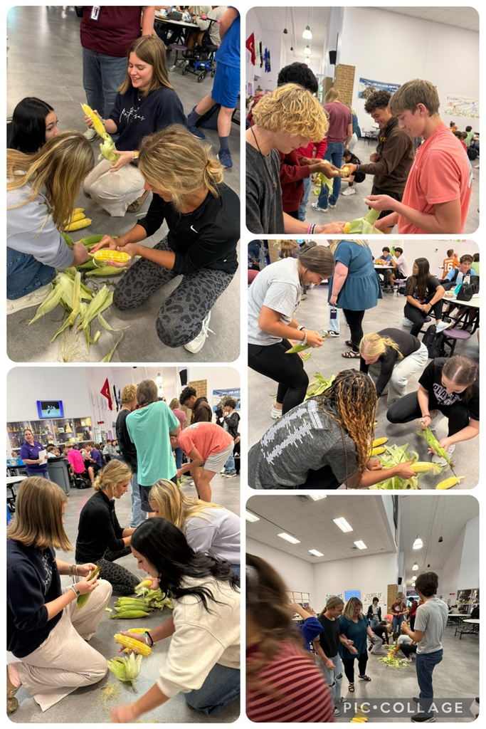 Corn Shucking